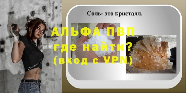 спиды Инсар