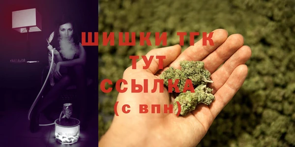 трава Инта