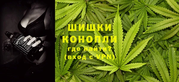 спиды Инсар