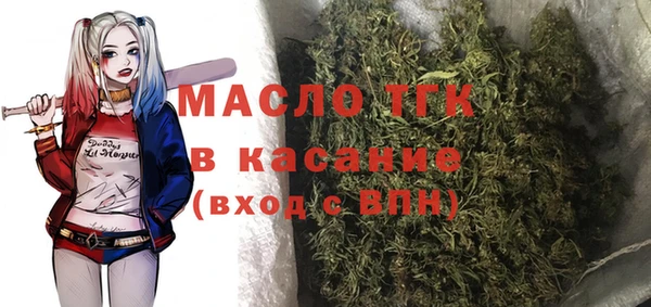 трава Инта