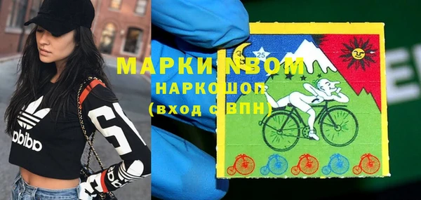трава Инта