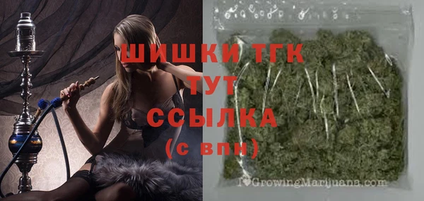 спиды Инсар