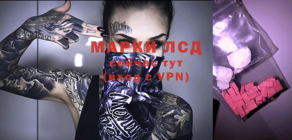 трава Инта