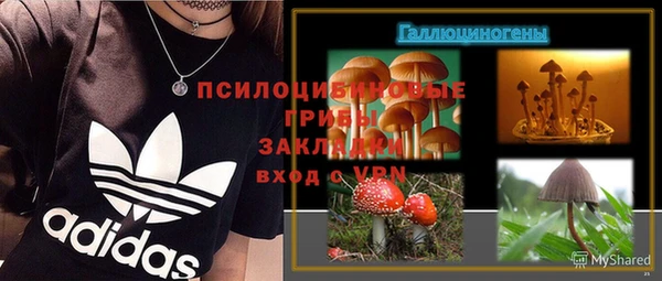 спиды Инсар